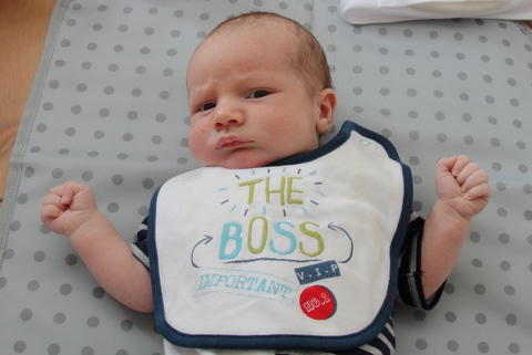 The Boss