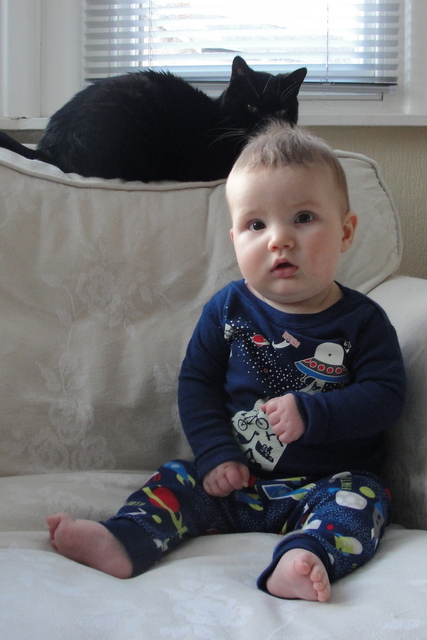 "Cute pyjamas, kid. Of course, some of us have naturally lush fur. And pyjamas can get torn. To shreds. Mysteriously."