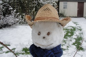 A handsome snowy devil