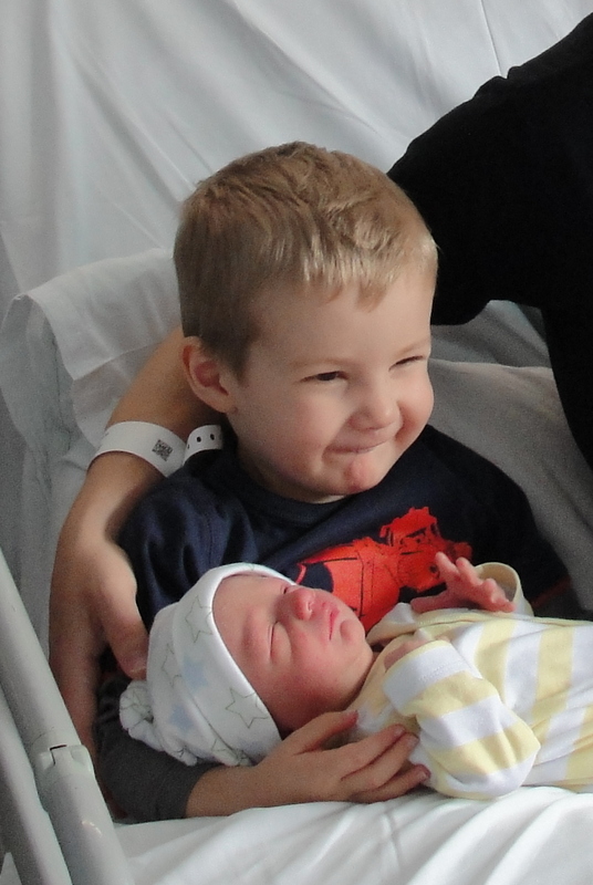 Little Monkey and Little Robin