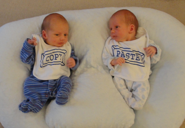 How geeks get twins.