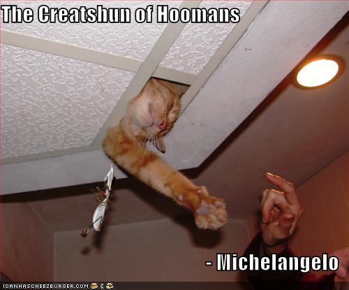 Occasion-Appropriate Cat